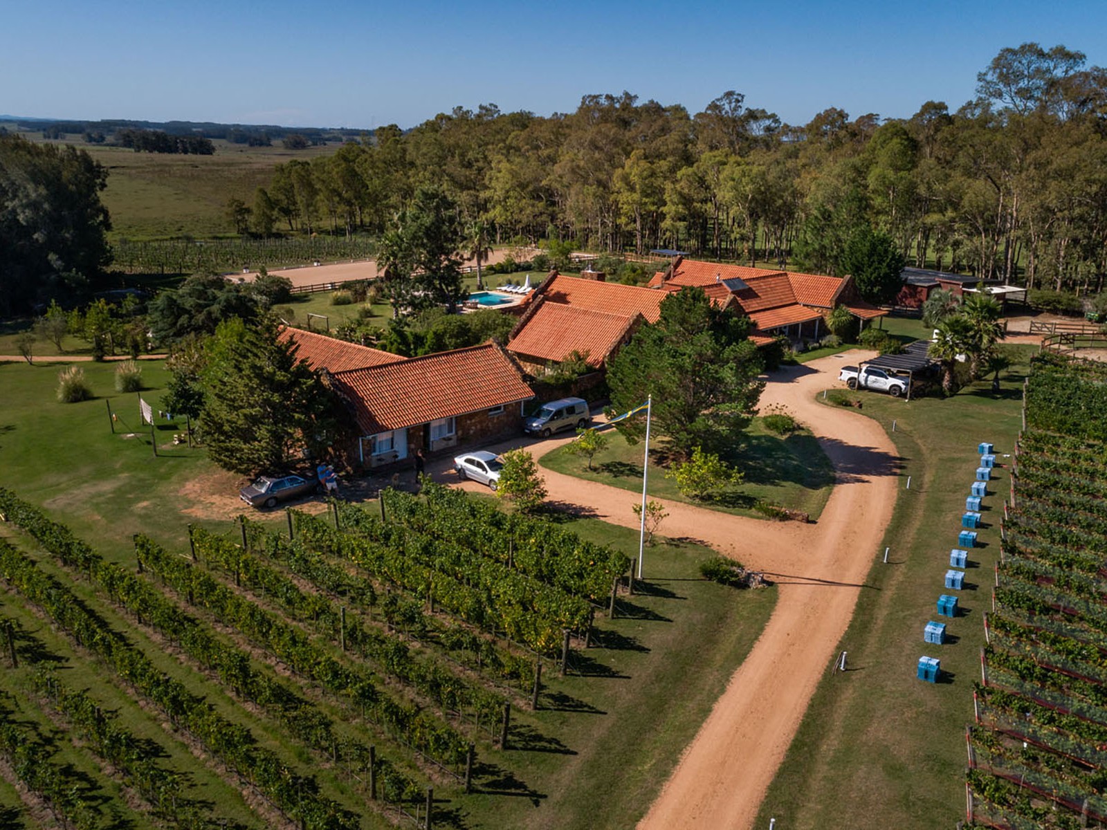  CHACRA CON VIÑEDOS EN VENTA EN JOSE IGNACIO