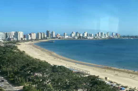 Portada departamentos #4363 - Punta del Este