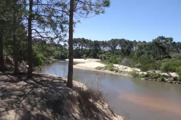 Portada terrenos #1947 - Punta Ballena