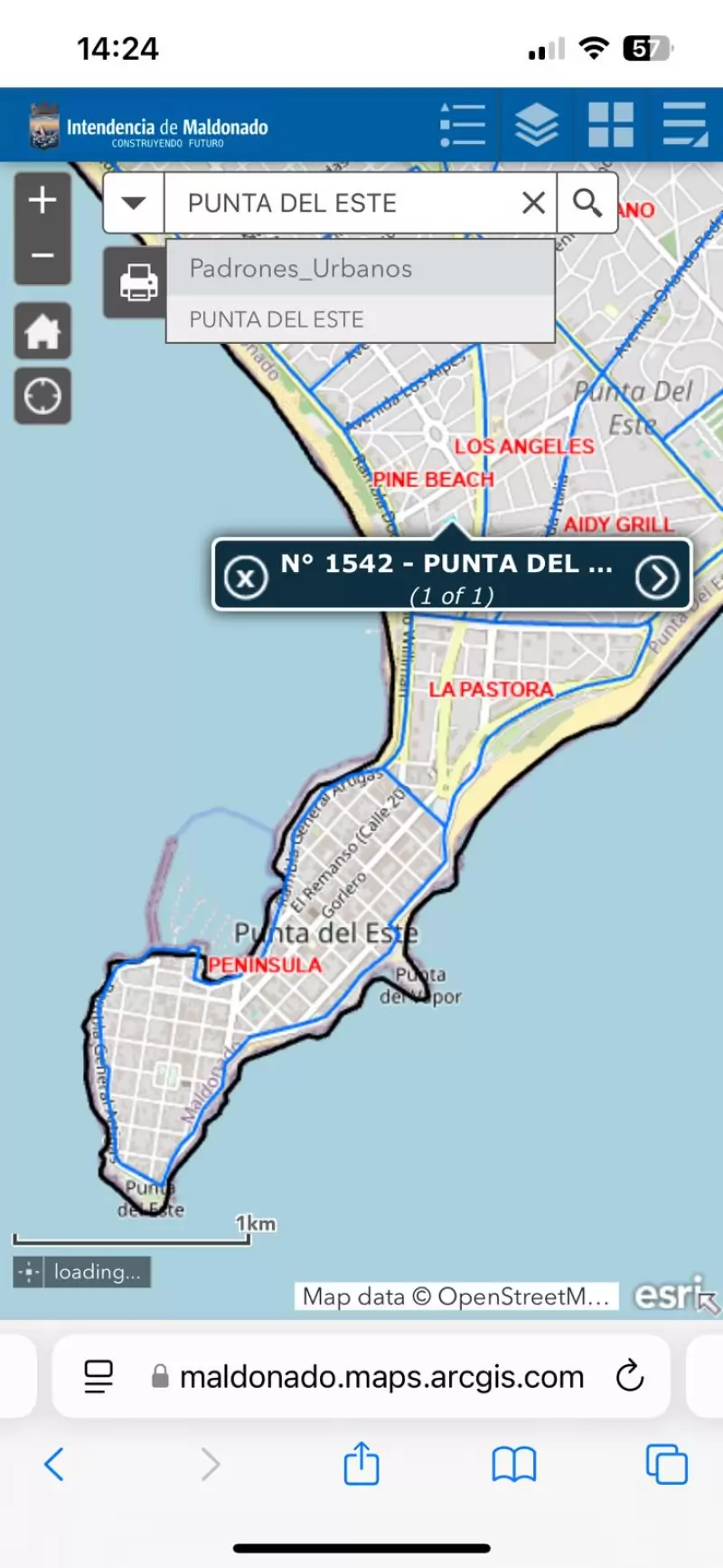 Imagen del producto