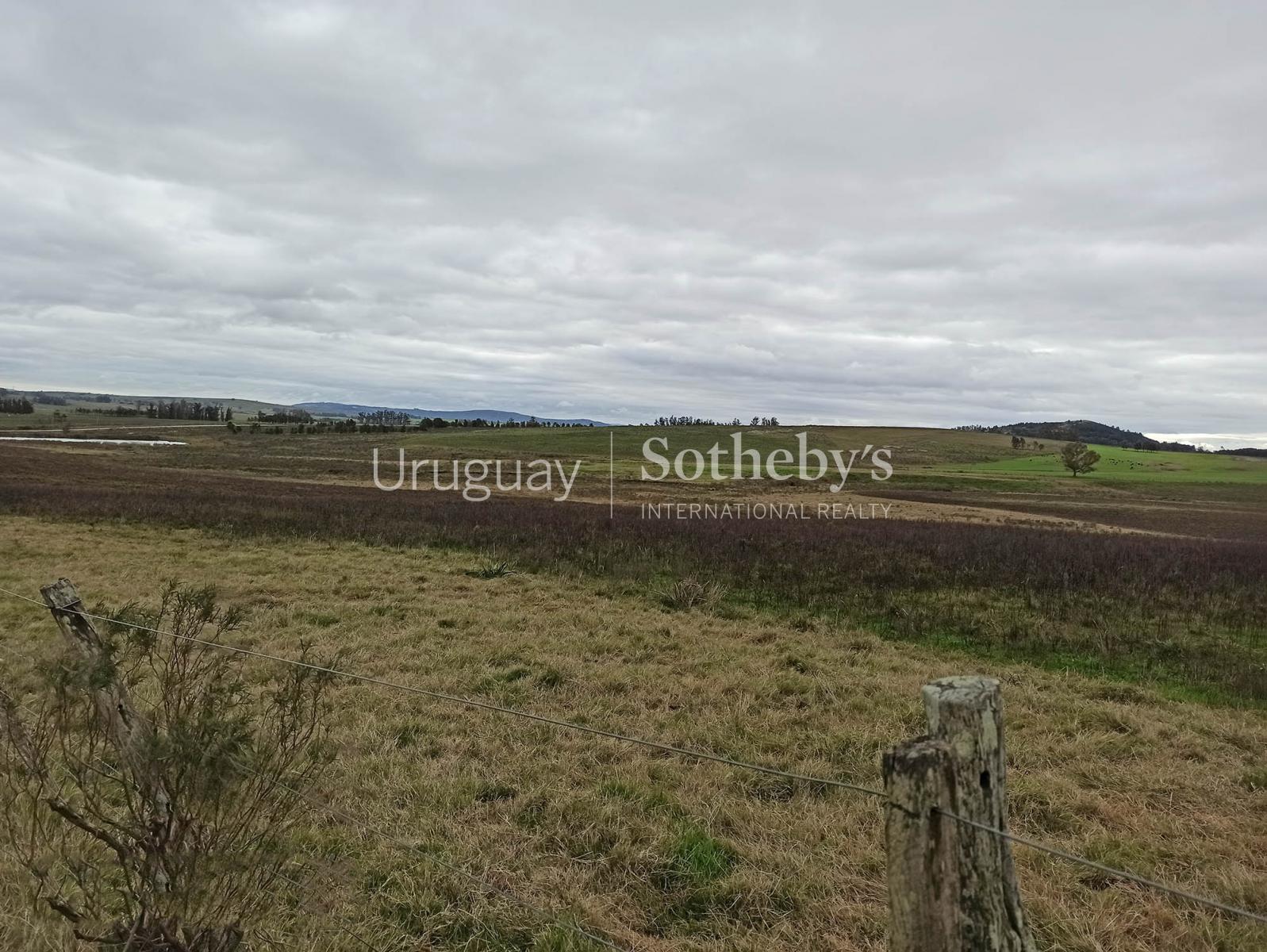 51 ha sobre Ruta 12 Uruguay Sotheby's International Realty