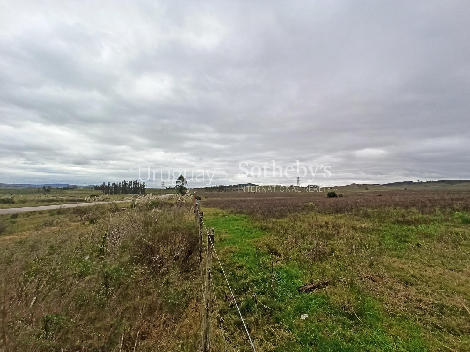 51 ha sobre Ruta 12 Uruguay Sotheby's International Realty