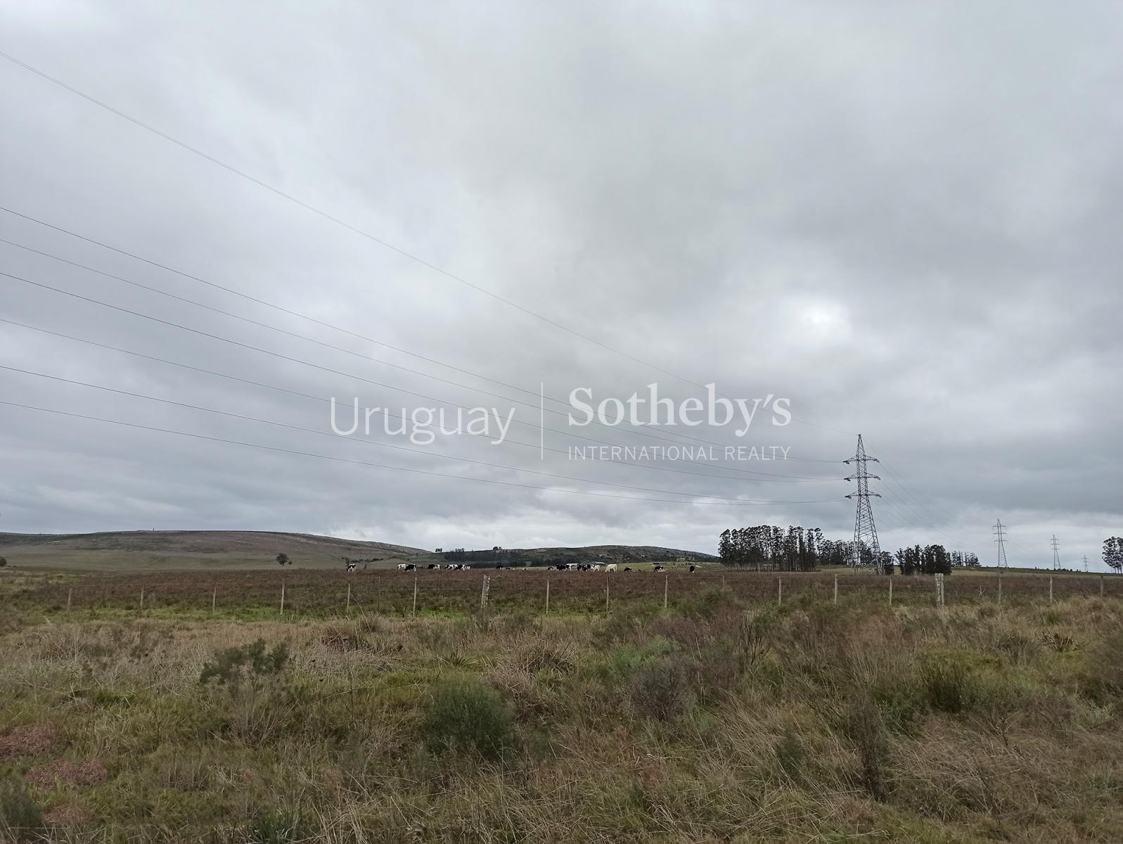 51 ha sobre Ruta 12 Uruguay Sotheby's International Realty