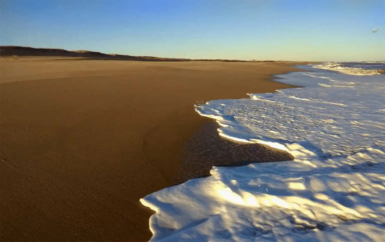 Playa y océano