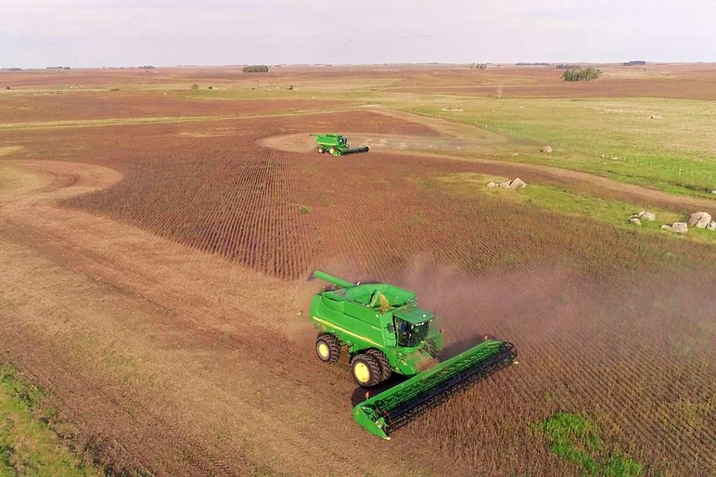 Current Trends in the Rural Sector in Uruguay